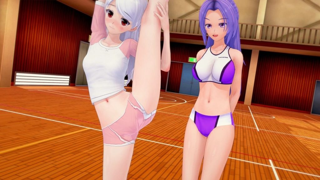 完全的女仆 (11)